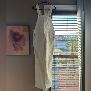 NWT Anthropologie overalls from Pilcro and the Letterpress.